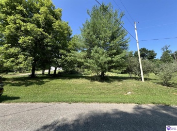 Springdale Road, Guston, Kentucky 40142, ,For Sale,Springdale Road,HK24002553