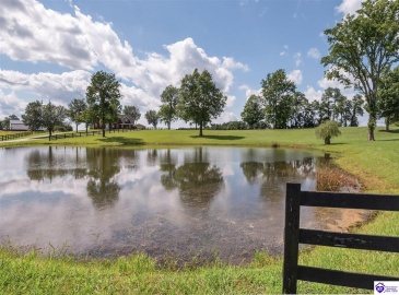 Lilac Road, Leitchfield, Kentucky 42754, ,4 BathroomsBathrooms,For Sale,Lilac Road,HK24002557