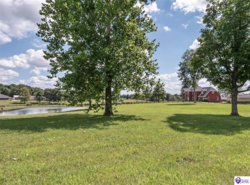 Lilac Road, Leitchfield, Kentucky 42754, ,4 BathroomsBathrooms,For Sale,Lilac Road,HK24002557