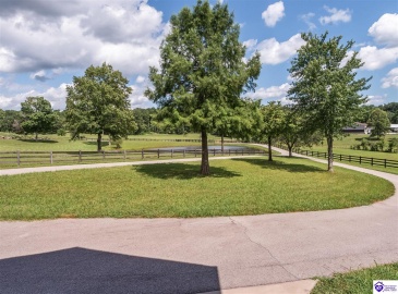 Lilac Road, Leitchfield, Kentucky 42754, ,4 BathroomsBathrooms,For Sale,Lilac Road,HK24002557