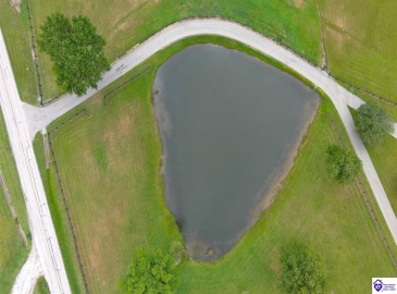 Lilac Road, Leitchfield, Kentucky 42754, ,4 BathroomsBathrooms,For Sale,Lilac Road,HK24002557