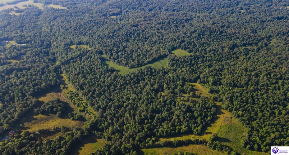 Jones School Road, Mount Sherman, Kentucky 42764, ,1 BathroomBathrooms,For Sale,Jones School Road,HK24002559