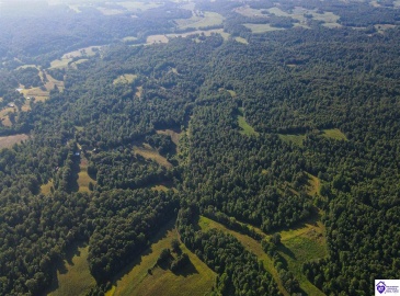 Jones School Road, Mount Sherman, Kentucky 42764, ,1 BathroomBathrooms,For Sale,Jones School Road,HK24002559