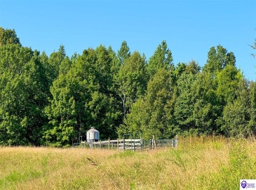 Jones School Road, Mount Sherman, Kentucky 42764, ,1 BathroomBathrooms,For Sale,Jones School Road,HK24002559