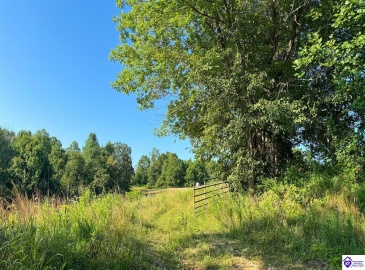 Jones School Road, Mount Sherman, Kentucky 42764, ,1 BathroomBathrooms,For Sale,Jones School Road,HK24002559