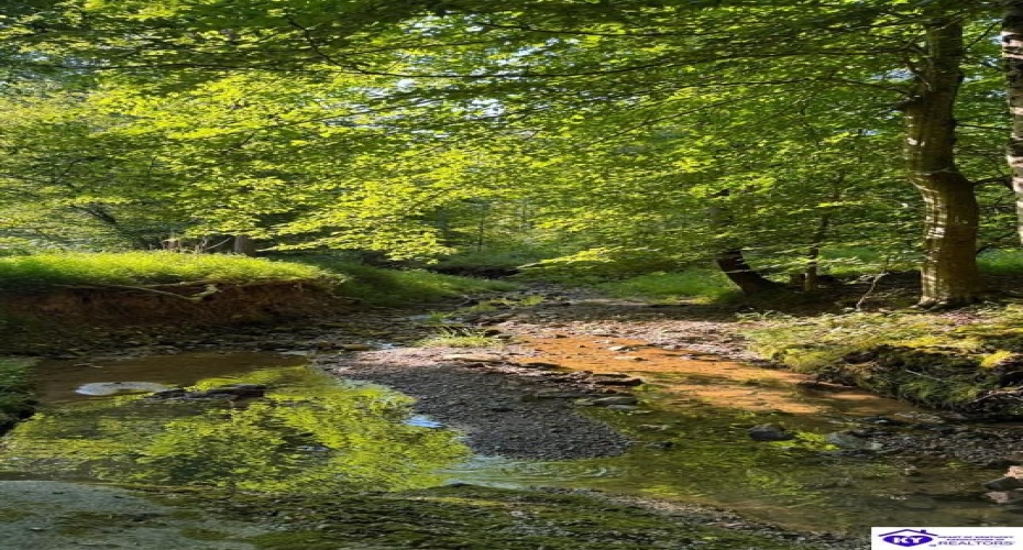 Jones School Road, Mount Sherman, Kentucky 42764, ,1 BathroomBathrooms,For Sale,Jones School Road,HK24002559