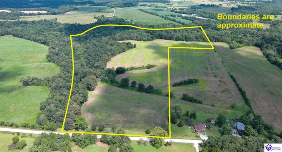 Salt River Road, Leitchfield, Kentucky 42754, ,For Sale,Salt River Road,HK24002574