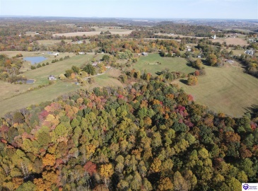 Jenny Road, Cave City, Kentucky 42127, ,For Sale,Jenny Road,HK23003428