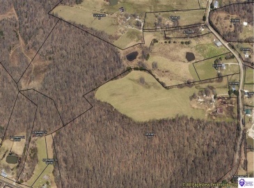 Jenny Road, Cave City, Kentucky 42127, ,For Sale,Jenny Road,HK23003428