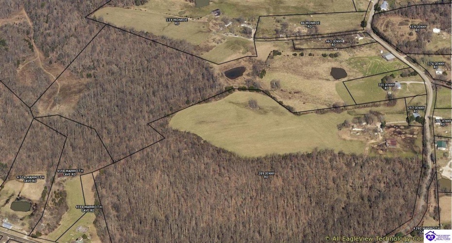 Jenny Road, Cave City, Kentucky 42127, ,For Sale,Jenny Road,HK23003428