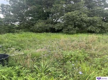 Thornhill Estate Lane, Irvington, Kentucky 40146, ,2 BathroomsBathrooms,For Sale,Thornhill Estate Lane,HK24002613