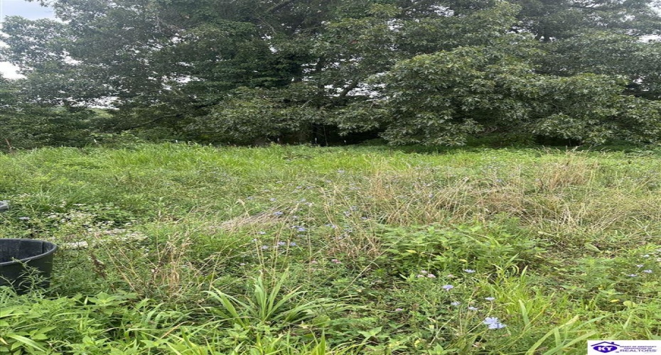 Thornhill Estate Lane, Irvington, Kentucky 40146, ,2 BathroomsBathrooms,For Sale,Thornhill Estate Lane,HK24002613