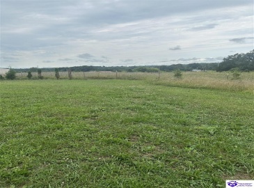 Thornhill Estate Lane, Irvington, Kentucky 40146, ,2 BathroomsBathrooms,For Sale,Thornhill Estate Lane,HK24002613