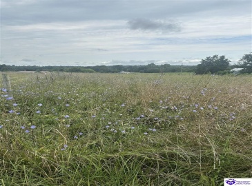 Thornhill Estate Lane, Irvington, Kentucky 40146, ,2 BathroomsBathrooms,For Sale,Thornhill Estate Lane,HK24002613