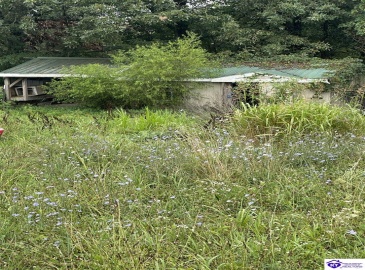 Thornhill Estate Lane, Irvington, Kentucky 40146, ,2 BathroomsBathrooms,For Sale,Thornhill Estate Lane,HK24002613