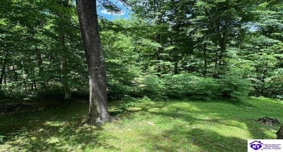 Lake of Woods Loop, Hardinsburg, Kentucky 40143, ,1 BathroomBathrooms,For Sale,Lake of Woods Loop,HK24002619