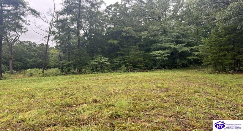 Grayson Springs Road, Clarkson, Kentucky 42726, ,For Sale,Grayson Springs Road,HK24002657