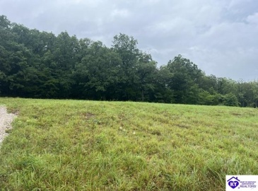 Grayson Springs Road, Clarkson, Kentucky 42726, ,For Sale,Grayson Springs Road,HK24002657 Grayson Springs Road, Clarkson, Kentucky 42726, ,For Sale,Grayson Springs Road,HK24002657