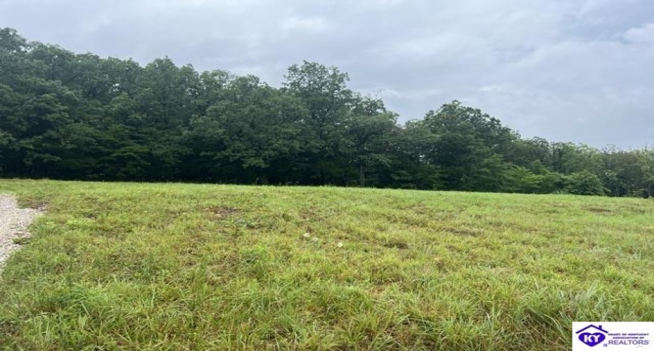 Grayson Springs Road, Clarkson, Kentucky 42726, ,For Sale,Grayson Springs Road,HK24002657