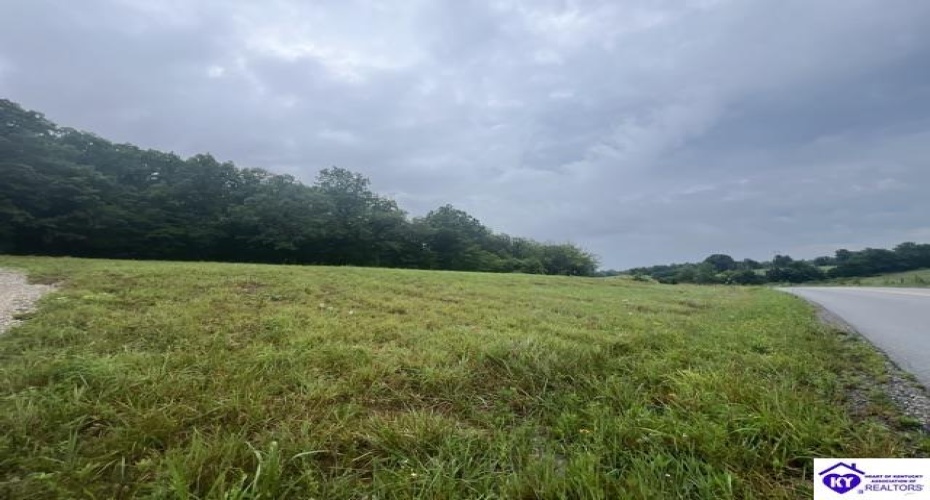 Grayson Springs Road, Clarkson, Kentucky 42726, ,For Sale,Grayson Springs Road,HK24002657