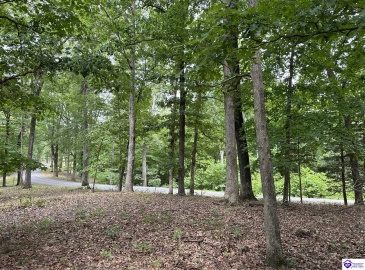 Bethel Church Road, Brandenburg, Kentucky 40108, ,For Sale,Bethel Church Road,HK24002670 Bethel Church Road, Brandenburg, Kentucky 40108, ,For Sale,Bethel Church Road,HK24002670