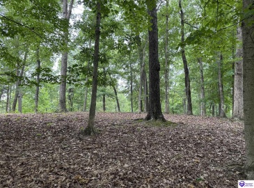 Bethel Church Road, Brandenburg, Kentucky 40108, ,For Sale,Bethel Church Road,HK24002670 Bethel Church Road, Brandenburg, Kentucky 40108, ,For Sale,Bethel Church Road,HK24002670