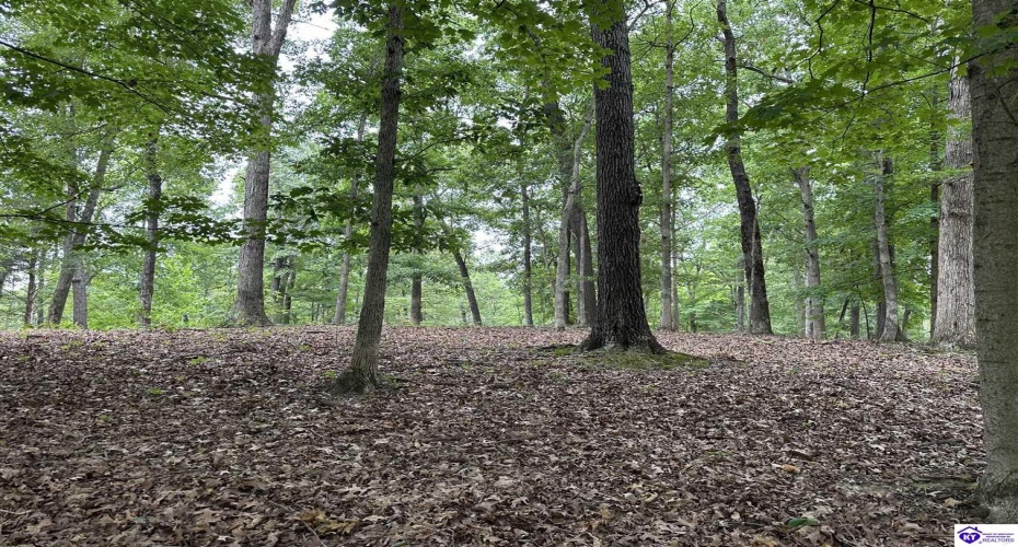 Bethel Church Road, Brandenburg, Kentucky 40108, ,For Sale,Bethel Church Road,HK24002670