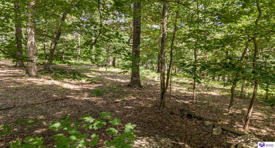 Bethel Church Road, Brandenburg, Kentucky 40108, ,For Sale,Bethel Church Road,HK24002670