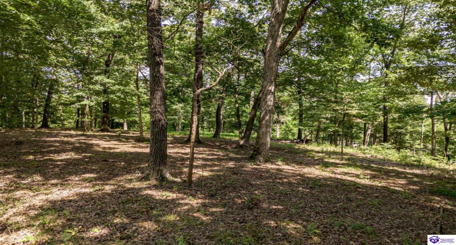 Bethel Church Road, Brandenburg, Kentucky 40108, ,For Sale,Bethel Church Road,HK24002670