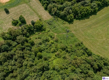 Highway 79, Brandenburg, Kentucky 40108, ,For Sale,Highway 79,HK24002687 Highway 79, Brandenburg, Kentucky 40108, ,For Sale,Highway 79,HK24002687