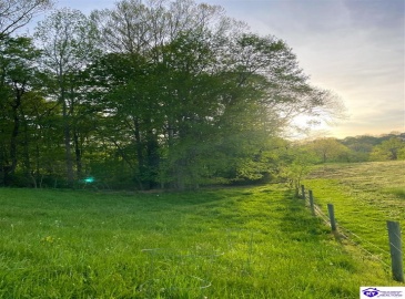 Ralph Vaughn Road, Greensburg, Kentucky 42743, ,For Sale,Ralph Vaughn Road,HK23001194 Ralph Vaughn Road, Greensburg, Kentucky 42743, ,For Sale,Ralph Vaughn Road,HK23001194