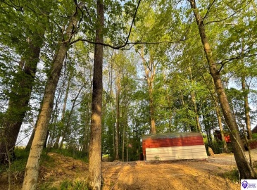 Ralph Vaughn Road, Greensburg, Kentucky 42743, ,For Sale,Ralph Vaughn Road,HK23001194 Ralph Vaughn Road, Greensburg, Kentucky 42743, ,For Sale,Ralph Vaughn Road,HK23001194