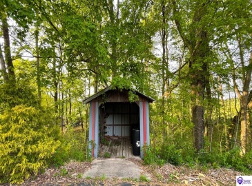 Ralph Vaughn Road, Greensburg, Kentucky 42743, ,For Sale,Ralph Vaughn Road,HK23001194