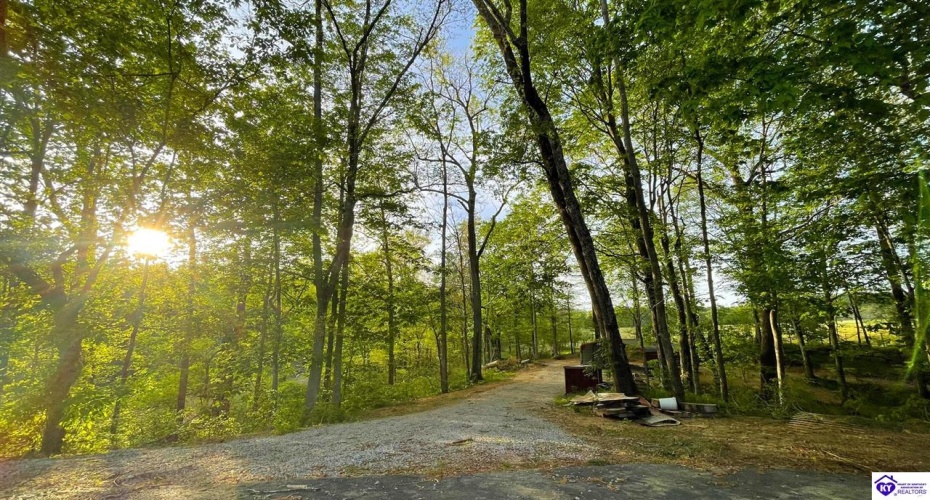 Ralph Vaughn Road, Greensburg, Kentucky 42743, ,For Sale,Ralph Vaughn Road,HK23001194