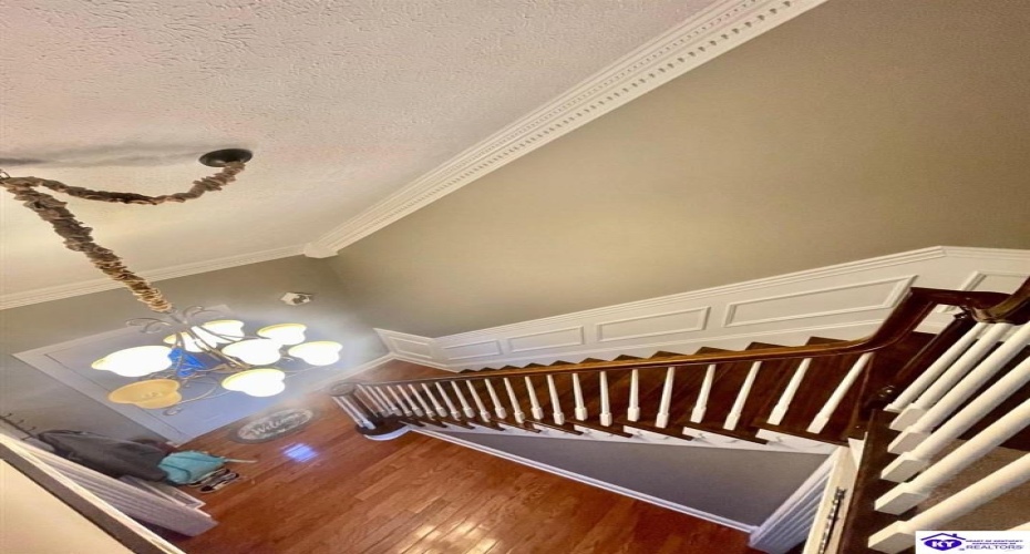 Hyde Park, Campbellsville, Kentucky 42718, ,4 BathroomsBathrooms,For Sale,Hyde Park,HK24002704 Hyde Park, Campbellsville, Kentucky 42718, ,4 BathroomsBathrooms,For Sale,Hyde Park,HK24002704