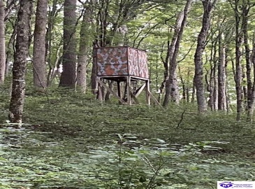 Hodgenville Road, Summersville, Kentucky 42782, ,For Sale,Hodgenville Road,HK24002715 Hodgenville Road, Summersville, Kentucky 42782, ,For Sale,Hodgenville Road,HK24002715