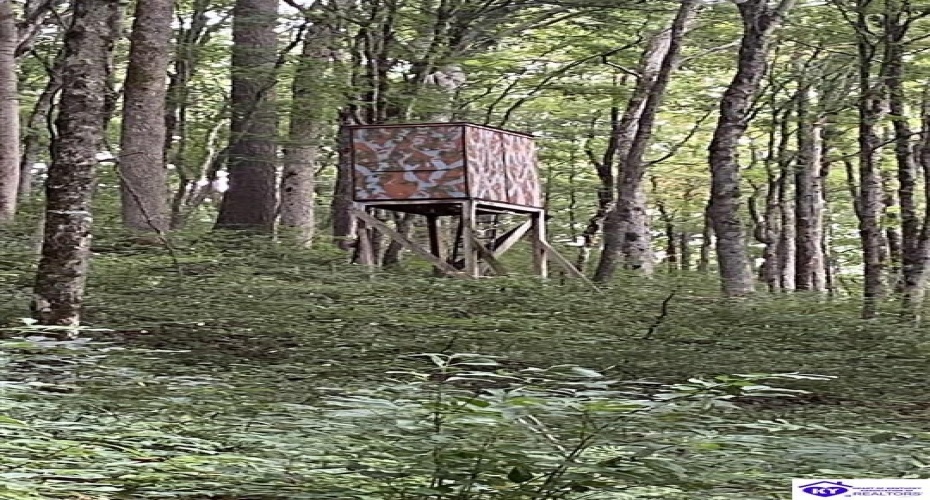 Hodgenville Road, Summersville, Kentucky 42782, ,For Sale,Hodgenville Road,HK24002715 Hodgenville Road, Summersville, Kentucky 42782, ,For Sale,Hodgenville Road,HK24002715