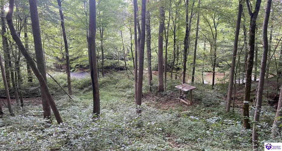 Hodgenville Road, Summersville, Kentucky 42782, ,For Sale,Hodgenville Road,HK24002715 Hodgenville Road, Summersville, Kentucky 42782, ,For Sale,Hodgenville Road,HK24002715