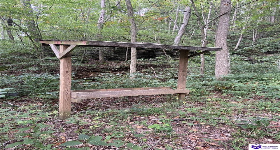 Hodgenville Road, Summersville, Kentucky 42782, ,For Sale,Hodgenville Road,HK24002715 Hodgenville Road, Summersville, Kentucky 42782, ,For Sale,Hodgenville Road,HK24002715