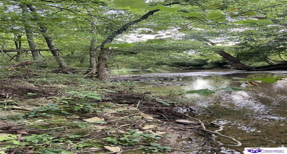 Hodgenville Road, Summersville, Kentucky 42782, ,For Sale,Hodgenville Road,HK24002715 Hodgenville Road, Summersville, Kentucky 42782, ,For Sale,Hodgenville Road,HK24002715