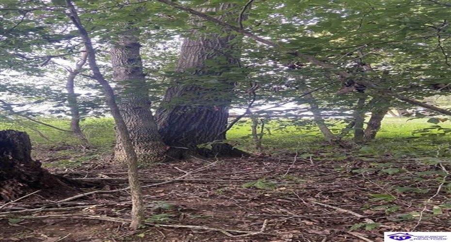 Hodgenville Road, Summersville, Kentucky 42782, ,For Sale,Hodgenville Road,HK24002715 Hodgenville Road, Summersville, Kentucky 42782, ,For Sale,Hodgenville Road,HK24002715