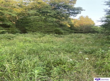 Hodgenville Road, Summersville, Kentucky 42782, ,For Sale,Hodgenville Road,HK24002715 Hodgenville Road, Summersville, Kentucky 42782, ,For Sale,Hodgenville Road,HK24002715