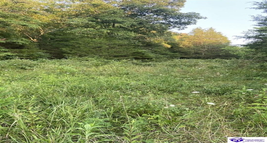 Hodgenville Road, Summersville, Kentucky 42782, ,For Sale,Hodgenville Road,HK24002715 Hodgenville Road, Summersville, Kentucky 42782, ,For Sale,Hodgenville Road,HK24002715