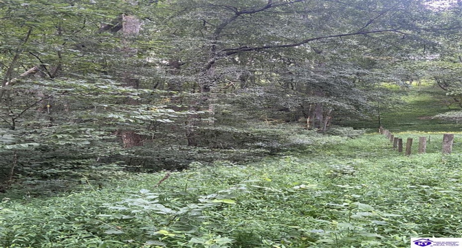 Hodgenville Road, Summersville, Kentucky 42782, ,For Sale,Hodgenville Road,HK24002715 Hodgenville Road, Summersville, Kentucky 42782, ,For Sale,Hodgenville Road,HK24002715