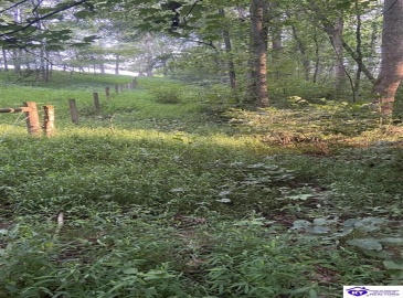 Hodgenville Road, Summersville, Kentucky 42782, ,For Sale,Hodgenville Road,HK24002715 Hodgenville Road, Summersville, Kentucky 42782, ,For Sale,Hodgenville Road,HK24002715