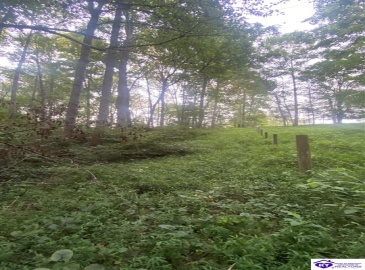 Hodgenville Road, Summersville, Kentucky 42782, ,For Sale,Hodgenville Road,HK24002715 Hodgenville Road, Summersville, Kentucky 42782, ,For Sale,Hodgenville Road,HK24002715