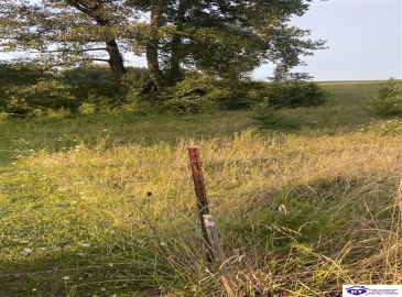 Hodgenville Road, Summersville, Kentucky 42782, ,For Sale,Hodgenville Road,HK24002715 Hodgenville Road, Summersville, Kentucky 42782, ,For Sale,Hodgenville Road,HK24002715