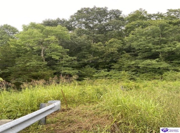 Hodgenville Road, Summersville, Kentucky 42782, ,For Sale,Hodgenville Road,HK24002715 Hodgenville Road, Summersville, Kentucky 42782, ,For Sale,Hodgenville Road,HK24002715