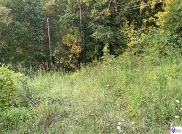 Hodgenville Road, Summersville, Kentucky 42782, ,For Sale,Hodgenville Road,HK24002715 Hodgenville Road, Summersville, Kentucky 42782, ,For Sale,Hodgenville Road,HK24002715