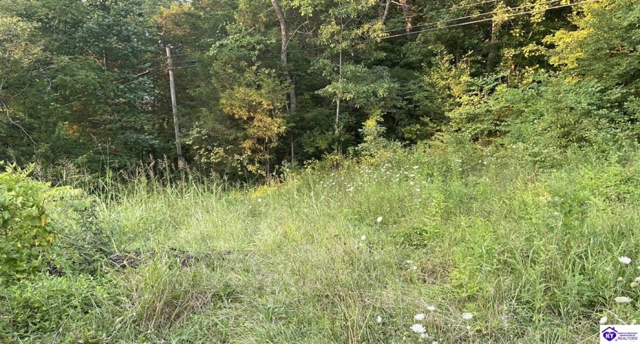 Hodgenville Road, Summersville, Kentucky 42782, ,For Sale,Hodgenville Road,HK24002715 Hodgenville Road, Summersville, Kentucky 42782, ,For Sale,Hodgenville Road,HK24002715